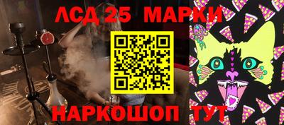гашик Будённовск