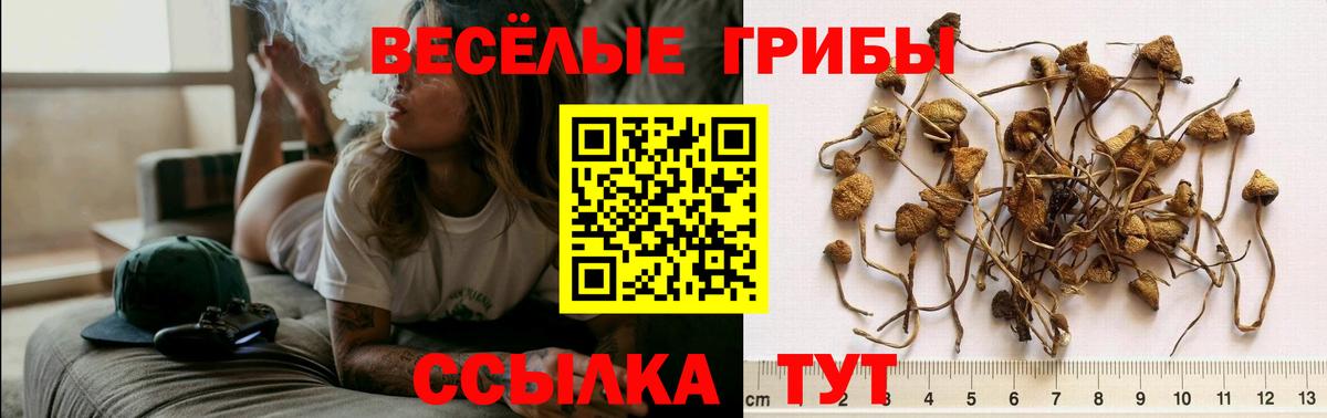 Череповец  Псилоцибиновые грибы мухоморы  наркота  Вход с VPN 